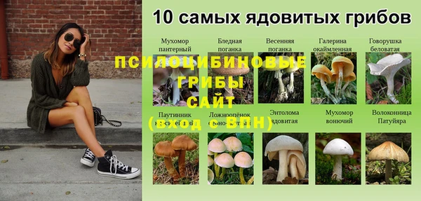 спайс Дмитровск